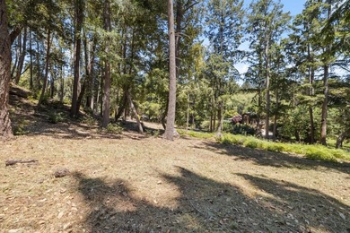 Build-ready 1.6-acre parcel in Bonny Doon with two optional - photo 12
