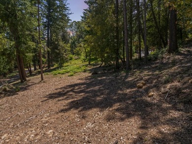 Build-ready 1.6-acre parcel in Bonny Doon with two optional - photo 15