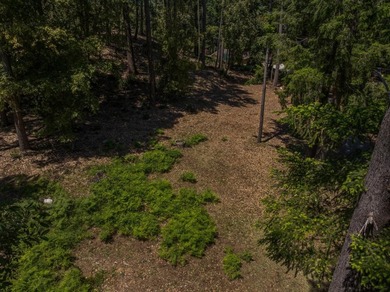 Build-ready 1.6-acre parcel in Bonny Doon with two optional - photo 16