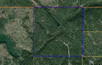 Trophy property offering 160 acres of private, timbered Montana - photo 8