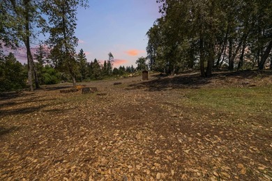 Build-ready 1.6-acre parcel in Bonny Doon with two optional - photo 19