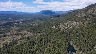 Trophy property offering 160 acres of private, timbered Montana - photo 9