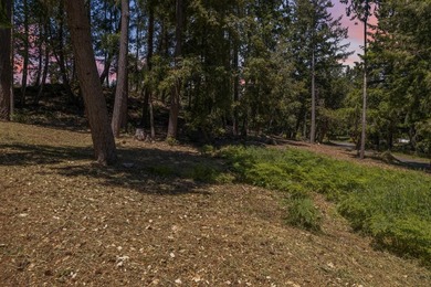 Build-ready 1.6-acre parcel in Bonny Doon with two optional - photo 20