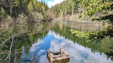 Trophy property offering 160 acres of private, timbered Montana - photo 10
