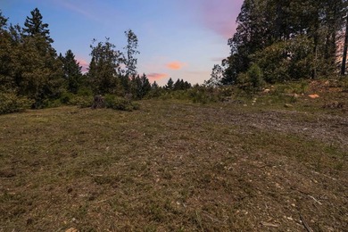 Build-ready 1.6-acre parcel in Bonny Doon with two optional - photo 21