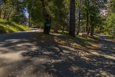 Build-ready 1.6-acre parcel in Bonny Doon with two optional - photo 23