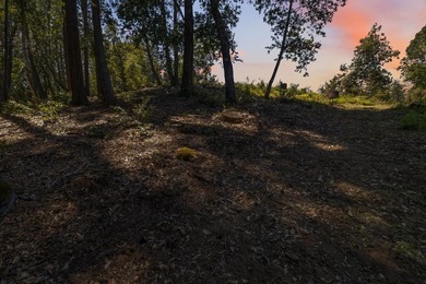 Build-ready 1.6-acre parcel in Bonny Doon with two optional - photo 24