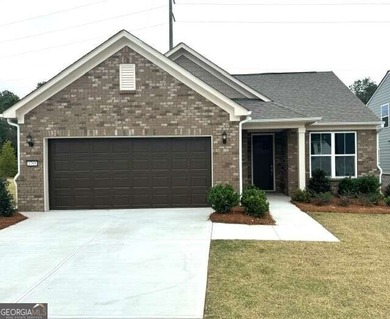 Stunning NEW Construction Home in Sold-Out 55+ Active Adult - photo 3