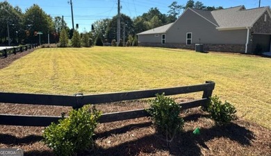 Stunning NEW Construction Home in Sold-Out 55+ Active Adult - photo 4
