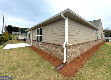 Stunning NEW Construction Home in Sold-Out 55+ Active Adult - photo 5