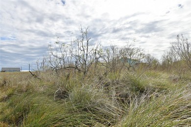 2 LOTS SIDE BY SIDE IN HOLIDAY BEACH WEST. CLOSE TO THE PRIVATE - photo 1
