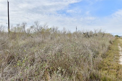 2 LOTS SIDE BY SIDE IN HOLIDAY BEACH WEST. CLOSE TO THE PRIVATE - photo 6
