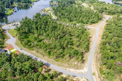 Lot 63 The Falls at Lake Sinclair Discover the perfect setting - photo 4