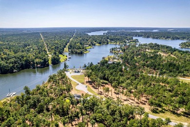 Lot 63 The Falls at Lake Sinclair Discover the perfect setting - photo 8
