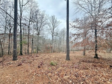 Moonlight Bay on Lake Keowee - Lots 49 An exceptional - photo 11