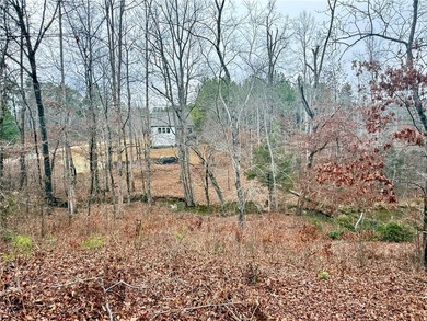 Moonlight Bay on Lake Keowee - Lots 49 An exceptional - photo 13