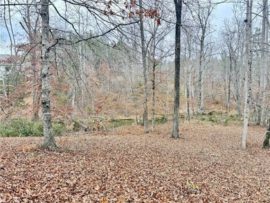 Moonlight Bay on Lake Keowee - Lots 49 An exceptional - photo 14