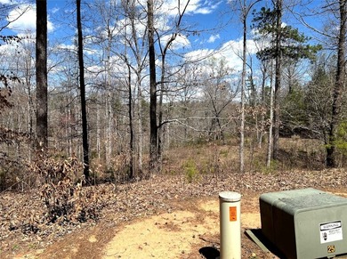 Moonlight Bay on Lake Keowee - Lots 49 An exceptional - photo 15