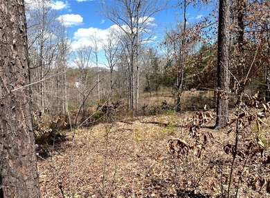 Moonlight Bay on Lake Keowee - Lots 49 An exceptional - photo 16
