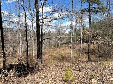 Moonlight Bay on Lake Keowee - Lots 49 An exceptional - photo 17