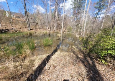 Moonlight Bay on Lake Keowee - Lots 49 An exceptional - photo 20