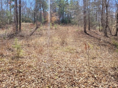 Moonlight Bay on Lake Keowee - Lots 49 An exceptional - photo 23