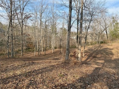 Moonlight Bay on Lake Keowee - Lots 49 An exceptional - photo 26