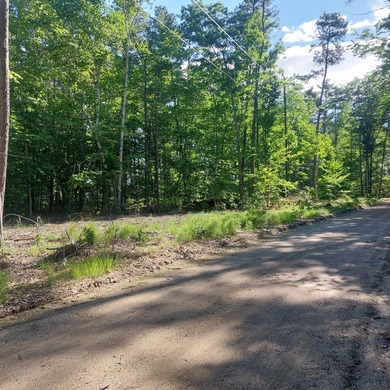 SEBAGO- Rare 2.35-Acre Sebago Lake Waterfront Parcel with 218' - photo 2