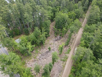 SEBAGO- Rare 2.35-Acre Sebago Lake Waterfront Parcel with 218' - photo 3