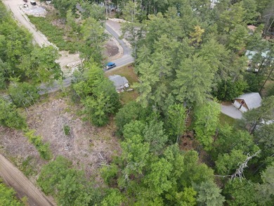 SEBAGO- Rare 2.35-Acre Sebago Lake Waterfront Parcel with 218' - photo 4