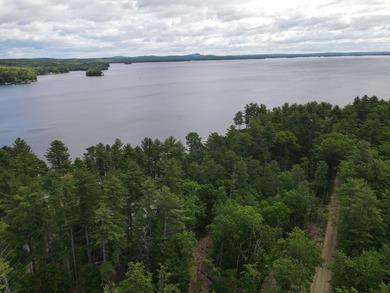 SEBAGO- Rare 2.35-Acre Sebago Lake Waterfront Parcel with 218' - photo 5