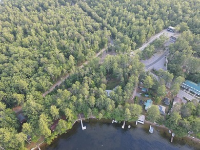 SEBAGO- Rare 2.35-Acre Sebago Lake Waterfront Parcel with 218' - photo 8