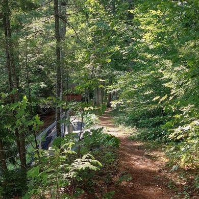 SEBAGO- Rare 2.35-Acre Sebago Lake Waterfront Parcel with 218' - photo 10