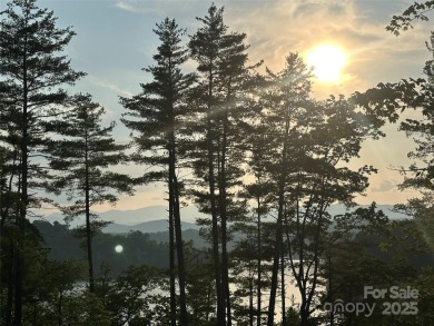 Lake Lot For Sale in Nebo, North Carolina