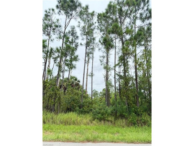 Lehigh Acres Area Lot For Sale in Lehigh Acres Florida
