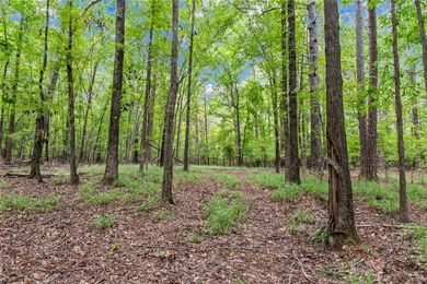 Located in the heart of the prestigious Great Waters community - photo 7