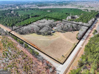 Fantastic property that has potential as a commercial - Lake Home For Sale in Eatonton, Georgia