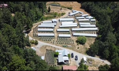 (private lake, pond, creek) Home For Sale in Blocksburg California