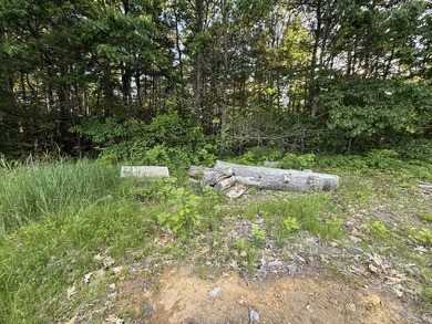 So many possibilities with this amazing 9 acres of land that has - photo 22