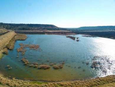 (private lake, pond, coastal) Acreage For Sale in Melvin Texas