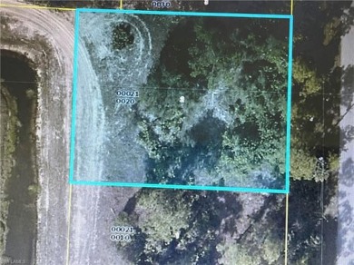Lehigh Acres Area Lot For Sale in Lehigh Acres Florida