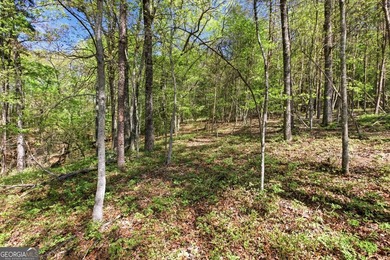 CUSTOM-BUILT NEW CONSTRUCTION ON NEARLY 18 UNRESTRICTED ACRES - photo 50