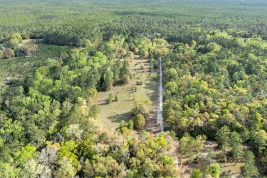 Lake Talquin Acreage For Sale in Tallahassee Florida