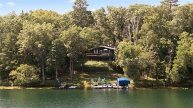 Lake Home For Sale in Ideal Twp, Minnesota