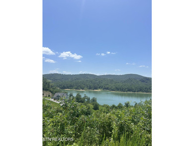 Don't miss this gorgeous lakeview lot ready to build your dream - photo 14