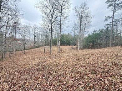 Moonlight Bay on Lake Keowee - Lots 48 -.92 acres An exceptional - photo 14