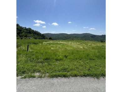 Don't miss this gorgeous lakeview lot ready to build your dream - photo 16