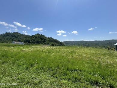 Don't miss this gorgeous lakeview lot ready to build your dream - photo 17