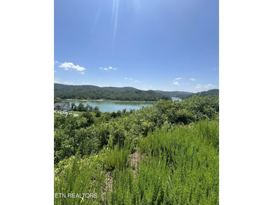 Don't miss this gorgeous lakeview lot ready to build your dream - photo 22