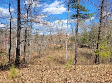 Moonlight Bay on Lake Keowee - Lots 48 -.92 acres An exceptional - photo 22